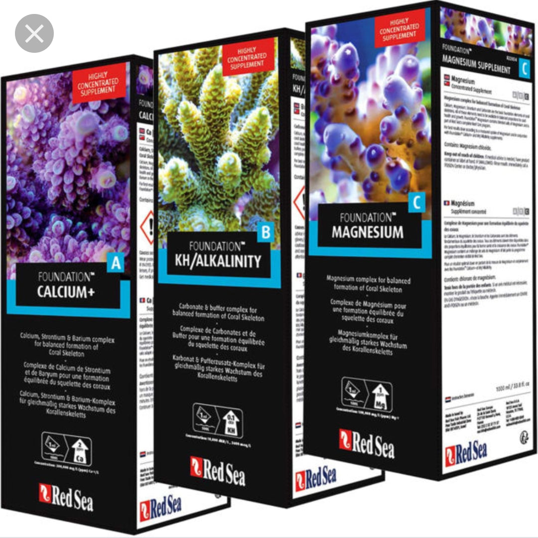 Red Sea Foundation A,B,C