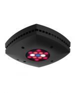 Refugium Sump light AI Prime