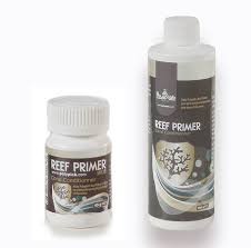 Polyp lab reef primer