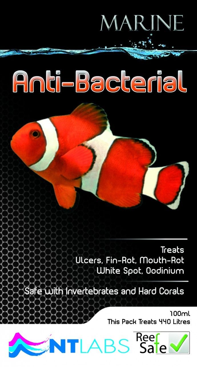 Anti Bacterial Medication 100ml