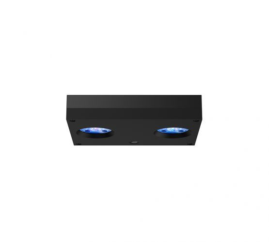 Hydra 32 Hd